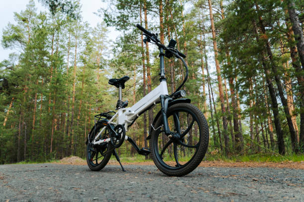 Troxus Electric Bikes